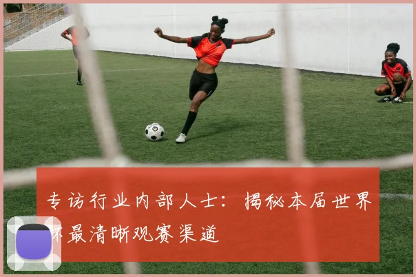 专访行业内部人士:揭秘本届世界杯最清晰观赛渠道