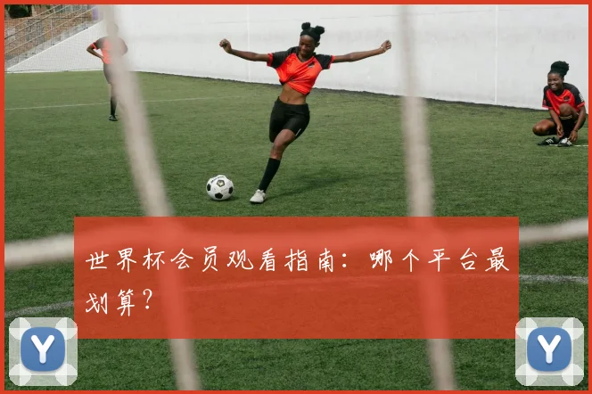 世界杯会员观看指南:哪个平台最划算?