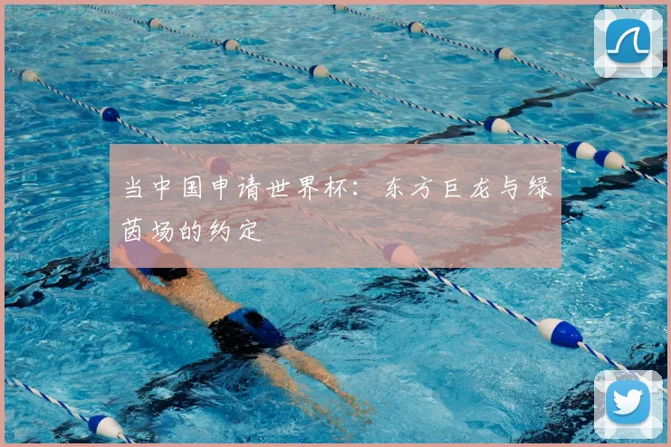 当中国申请世界杯:东方巨龙与绿茵场的约定