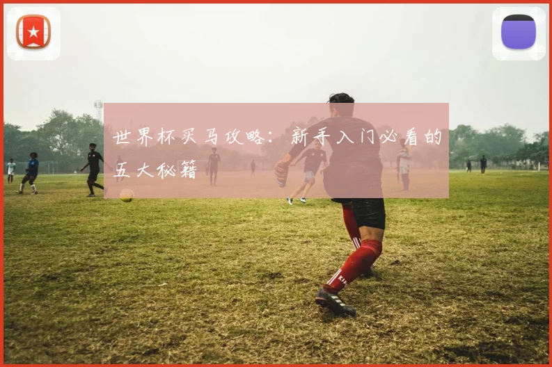 世界杯买马攻略：新手入门必看的五大秘籍