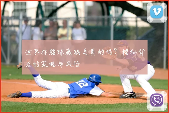 世界杯赌球赢钱是真的吗?揭秘背后的策略与风险