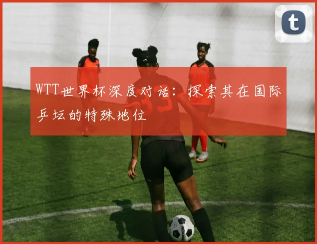 WTT世界杯深度对话:探索其在国际乒坛的特殊地位