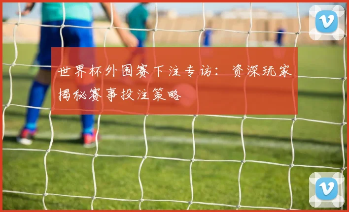 世界杯外围赛下注专访：资深玩家揭秘赛事投注策略