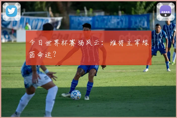 今日世界杯赛场风云:谁将主宰绿茵命运?