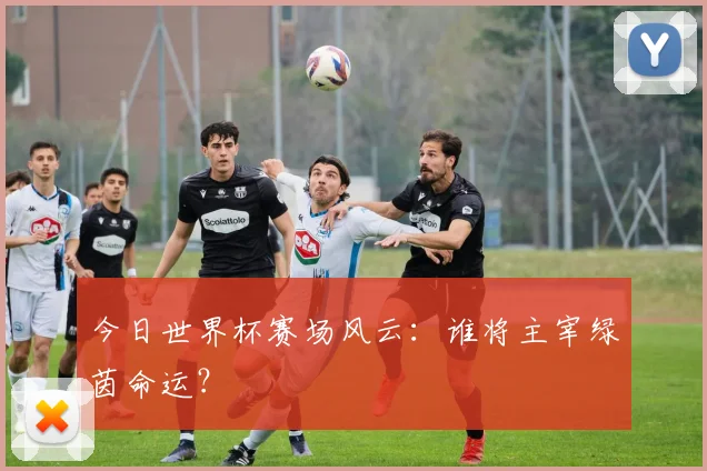 今日世界杯赛场风云：谁将主宰绿茵命运？