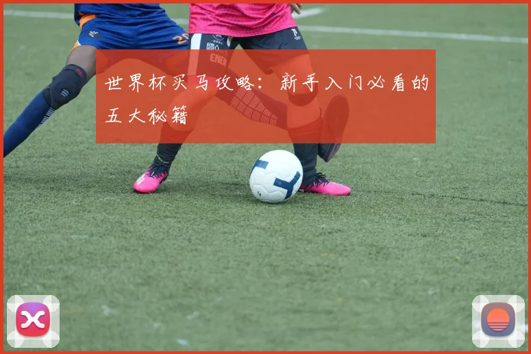 世界杯买马攻略:新手入门必看的五大秘籍
