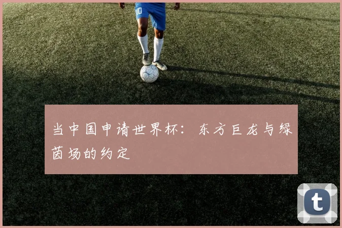 当中国申请世界杯:东方巨龙与绿茵场的约定