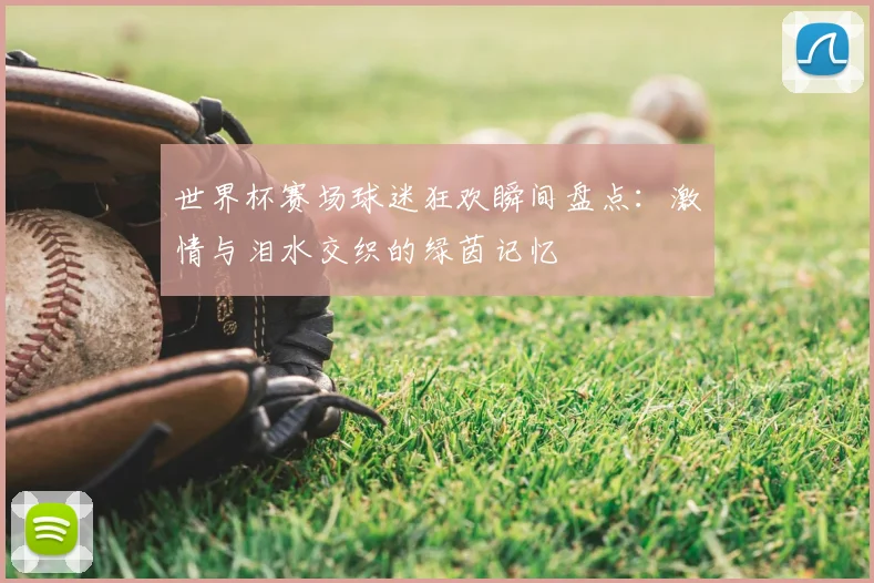 世界杯赛场球迷狂欢瞬间盘点:激情与泪水交织的绿茵记忆